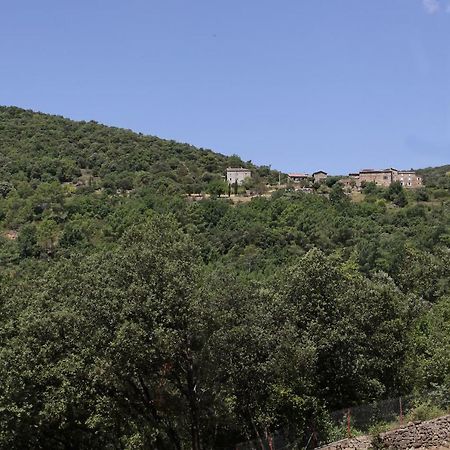 Gites Du Mas Icard Anduze Kültér fotó